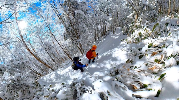 超綺麗夢幻的粉雪奇緣山行記在日本名古屋南沢山2781224