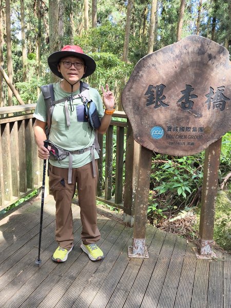 [百山百鳥尋旅-05/15] 2025_0830 溪頭賞鳥步道_銀杏步道2875541