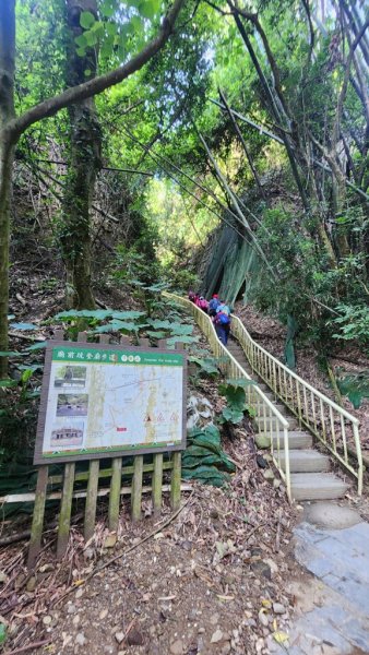 【小百岳】松柏嶺走松柏坑山連走坑內坑步道2626532