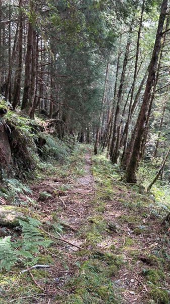 太平山運材軌道見晴線2588841