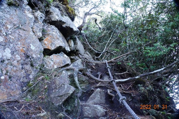 臺中 和平 稍來山1597376