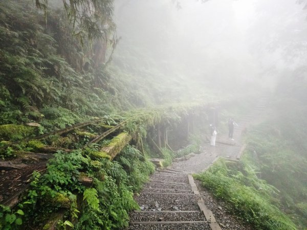 見晴懷古步道-(宜蘭)臺灣百大必訪步道2827759