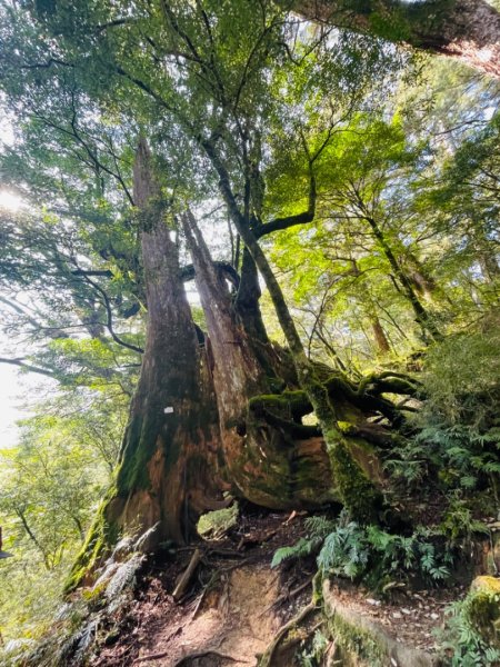 1140404二訪～塔關山2754054