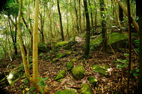 新竹 尖石 那羅山、煤源山3068668