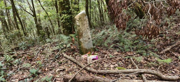 2025/05/01-凌空廊道上李崠山2775485
