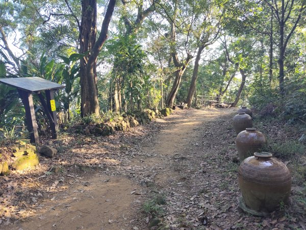 微笑山線：【大棟山系】405高地段2942549