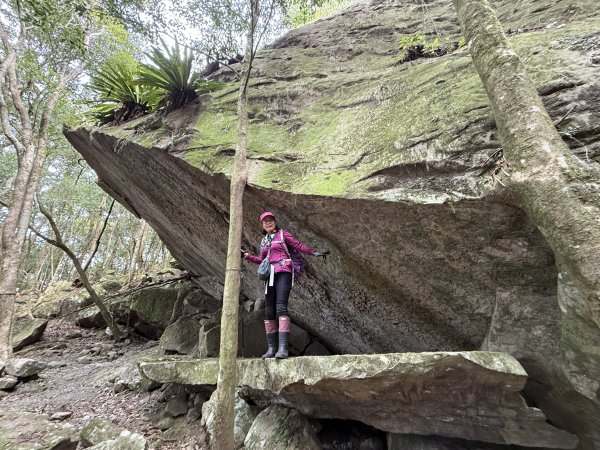 大坪祕境的奇岩2672540