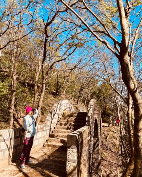 拱北殿賞楓🍁雙湖縱走賞落羽松2686657