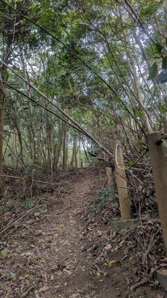 橫龍山、橫龍古道2682911