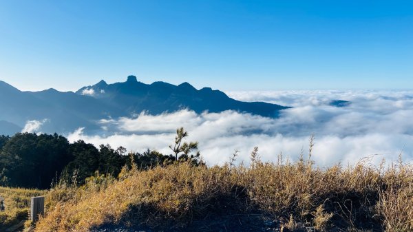 2025/228 武陵四秀2926741