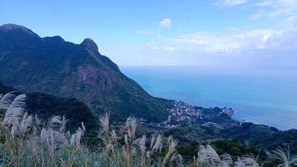 找一個晴天去爬山~金瓜石芒花之旅2962409