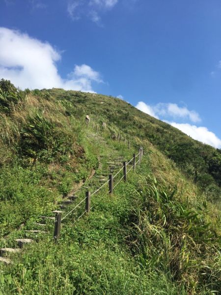 基隆九份二山步道287437