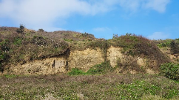 2022.01.27海口山_外埔庄_下大山腳_大山1600751