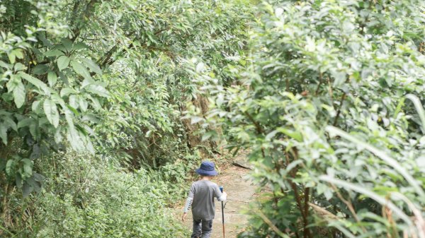 臺北大縱走第五段：碧山巖-捷運劍潭站