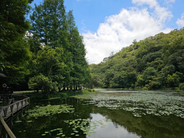 福山植物園 - (宜蘭)臺灣百大必訪步道2557622