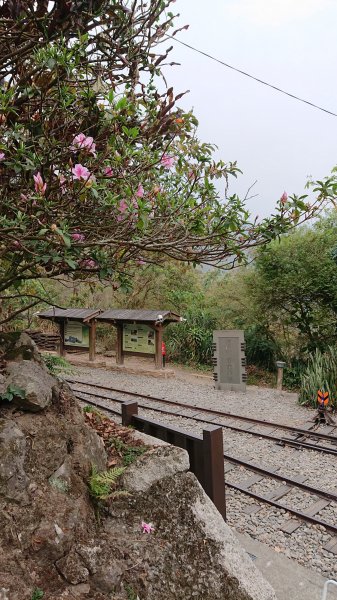 20210228獨立山大籠頂步道1618527