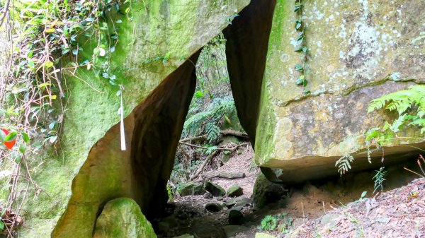 大邱田石門洞2856204