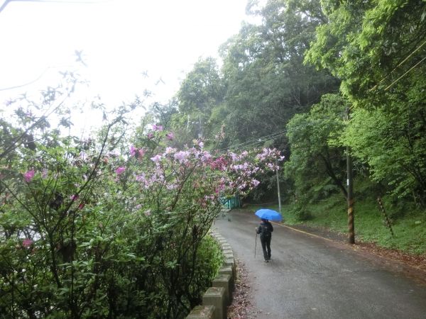 大尖山．天道清修院．秀峰瀑布106949