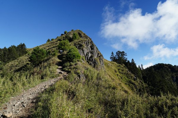 臺中 和平 桃山2626480