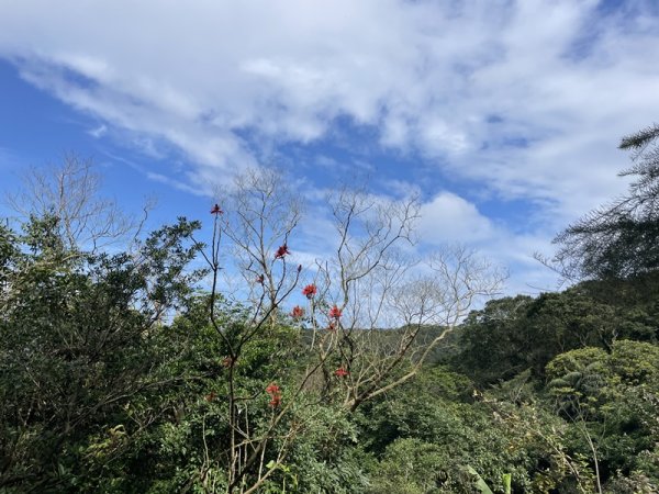 雪山尾稜北段2728629