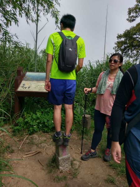 小百岳五指山386261