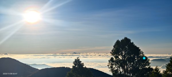 #太平山 #望洋山 #觀雲步道 #日出 #雲海 11/82931178