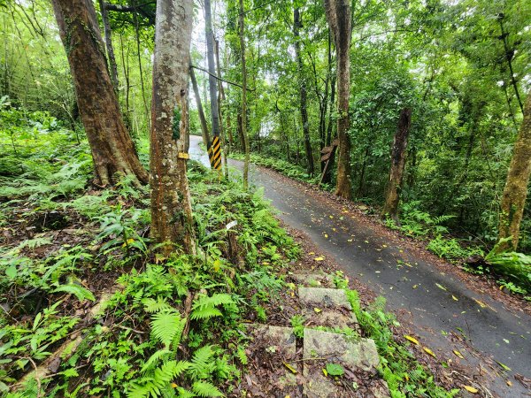 20250427大山背山田寮山毬子山騎龍山2933682