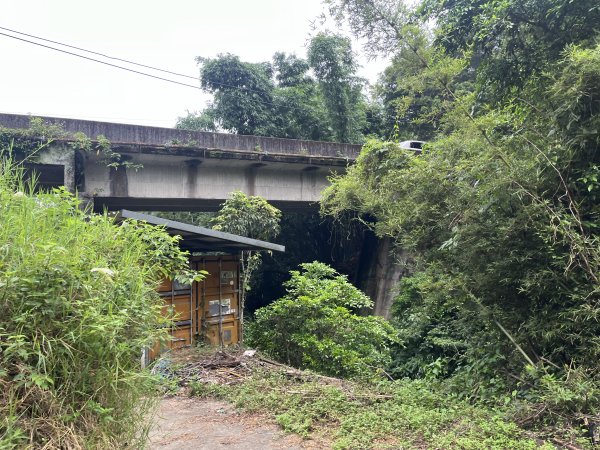 [皮皮獅探險隊-06/10] 2025_0706 四寮溪生態步道2831966