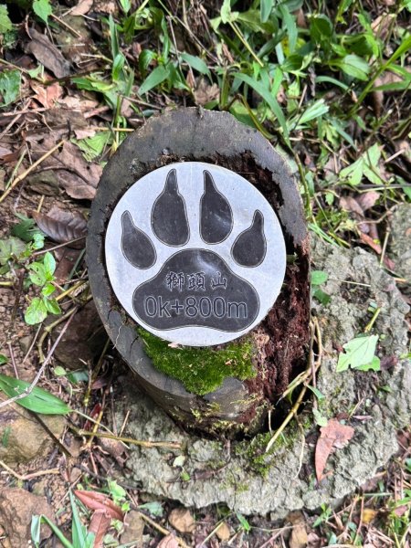 【新北】獅頭山(小獅山)步道2512217