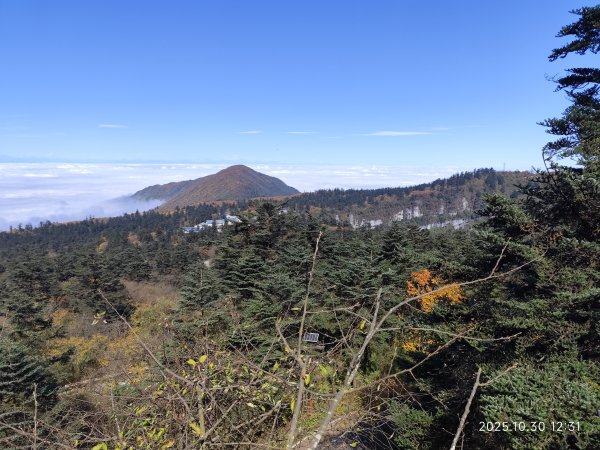 四川峨眉山、成都索菲斯錦苑賓館 (2-2)2940340