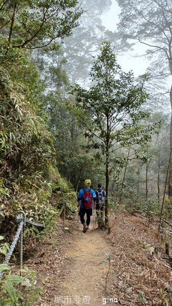 【南投魚池】中部四大名山之山高路遠。 水社大山登山步道2037928