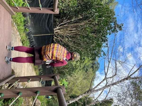 桃園-高遶溪天空吊橋-高遶溪瀑布-高遶溪古圳步道2941985