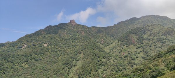 無耳茶壺山3106603