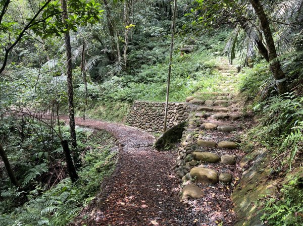 [微笑山線_第十二段] 2025_0803 五分山系_望古瀑布2851552