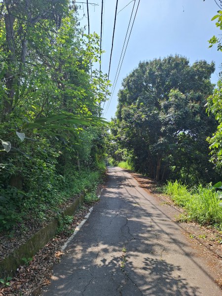 太平車籠山+貓頭鷹步道+番子路山+豬槽山202605023045778