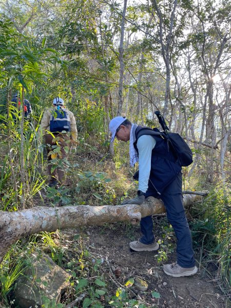 小百岳 三腳南山2686776