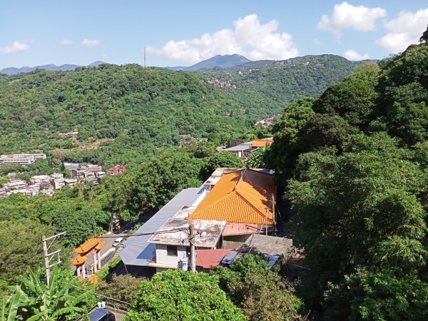 【臺北親山拓印趣】大崙頭尾山親山步道1122526