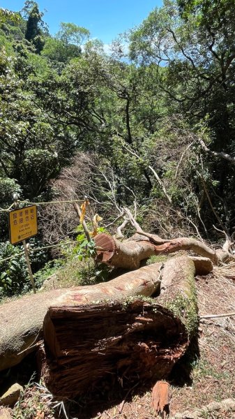 淡水興福寮古道2923328