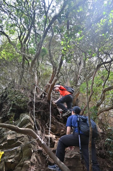 中級山-高島縱走2888366