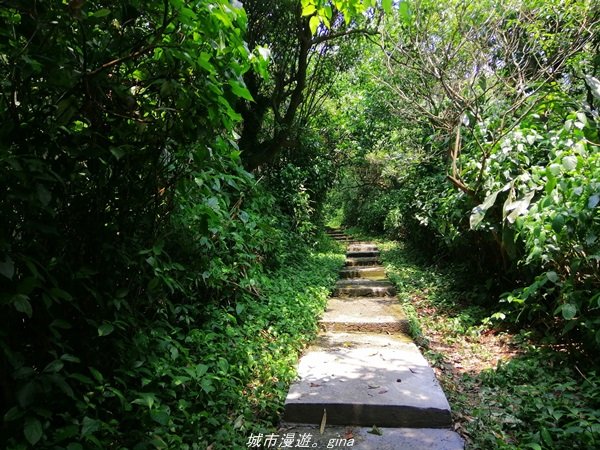 【基隆。仁愛】小百岳集起來。編號7小百岳~紅淡山步道1346381