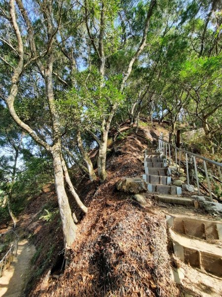 《彰化》田中森林登山步道O型202011221179713
