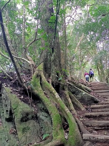 四訪苗栗的花果山-小百岳#037馬那邦山、雪霸國家公園管理處【小百岳集起來、苗栗-臺灣百大必訪步道】2394366