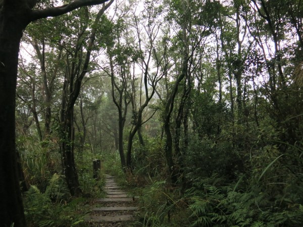 2018.01 獅仔頭山封面