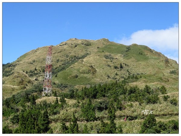 七星山連峰/芒花738706