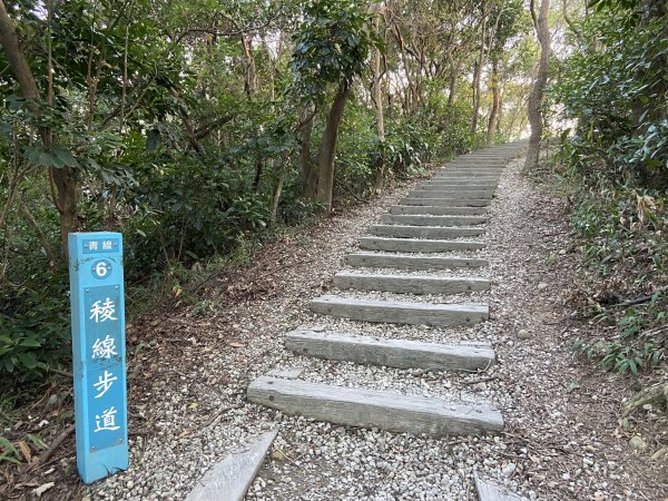 20231209 桃園市桃園區 虎頭山公園2387619