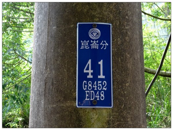 北打鐵坑山(台中、和平)1689418