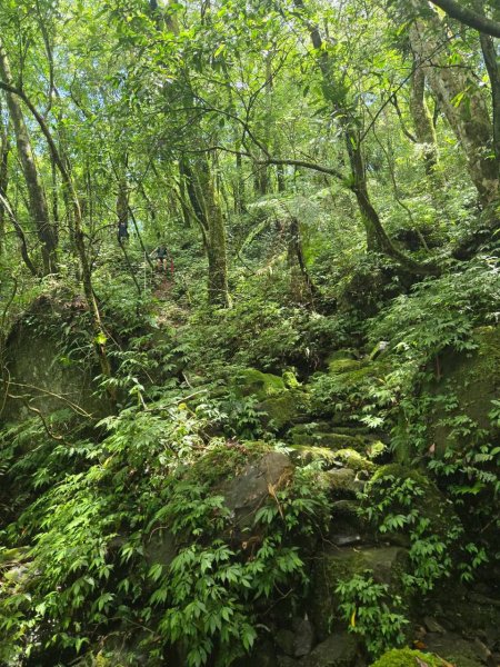 20260822梳妝三山(梳妝樓山-梳妝頂山-梳妝頭山)3111534