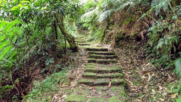 環七星山步道,百拉卡步道,清天宮1794813