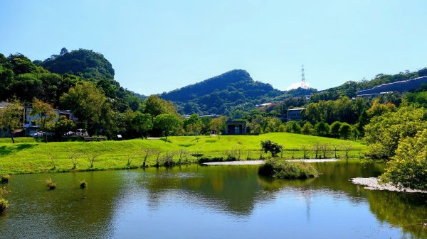 四獸山3132958