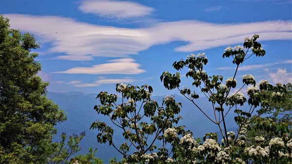輕鬆健行欣賞飛碟雲下的山稜與屏東市區之美在德文山1394050
